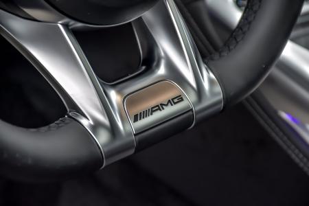 Used 2019 Mercedes-Benz AMG GT 53 | Downers Grove, IL